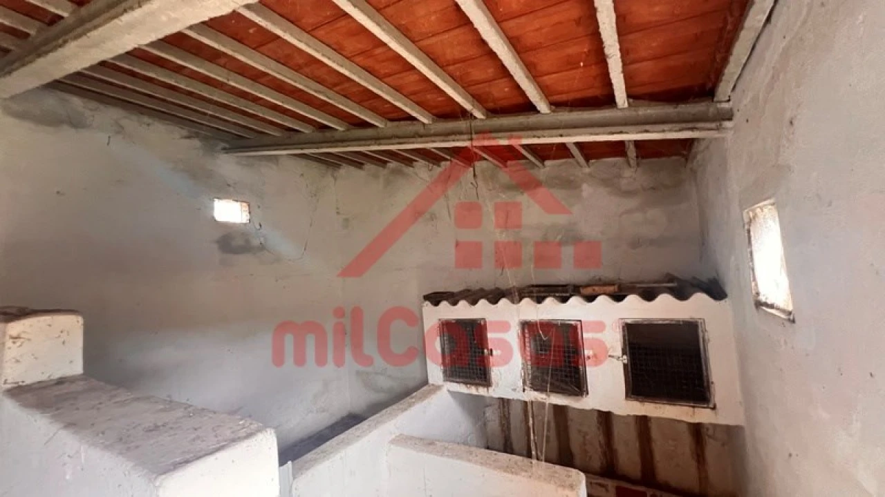 Armazém para Venda em Cadaval e Pêro Moniz Foto 26