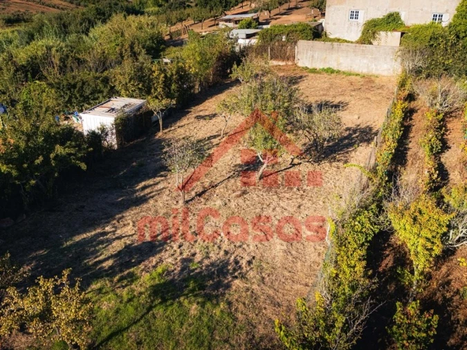Armazém para Venda em Cadaval e Pêro Moniz Foto 6