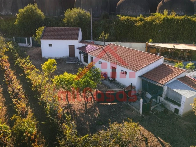 Armazém para Venda em Cadaval e Pêro Moniz Foto 14