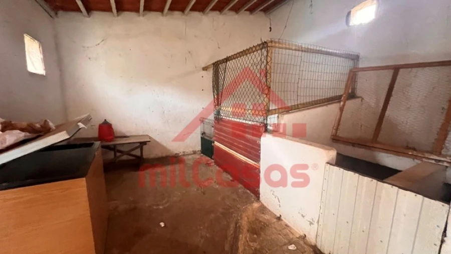 Armazém para Venda em Cadaval e Pêro Moniz Foto 21