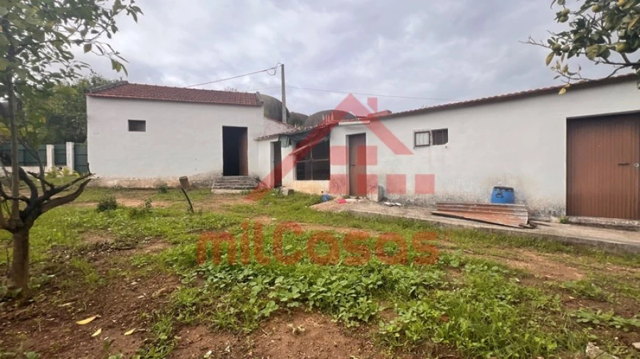 Armazém para Venda em Cadaval e Pêro Moniz Foto 22