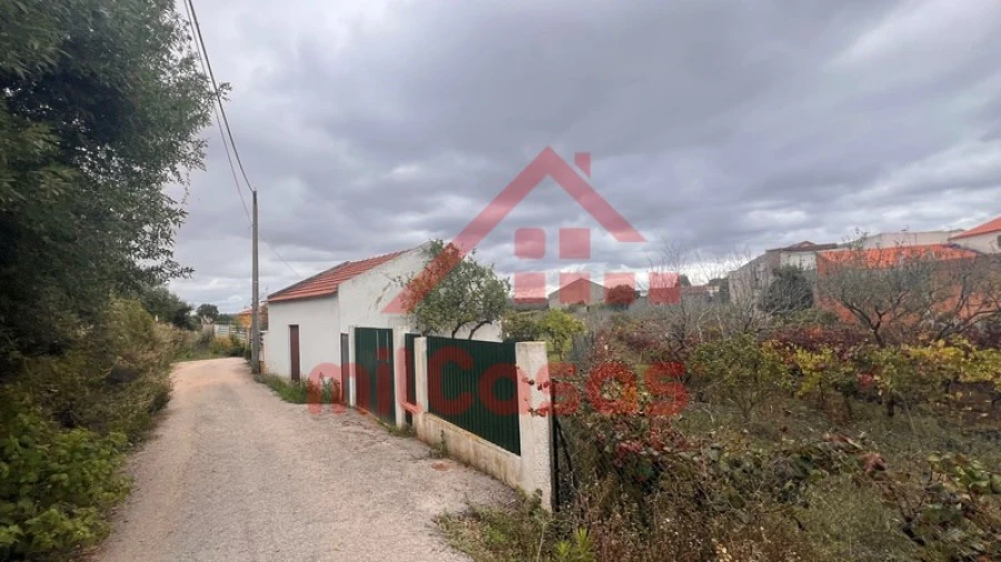 Armazém para Venda em Cadaval e Pêro Moniz Foto 28