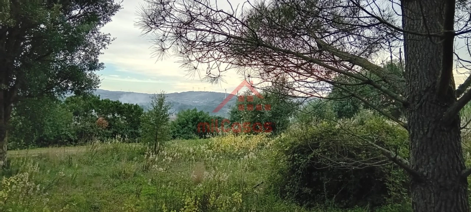 Terreno para Venda em Carvoeira e Carmões Foto 7
