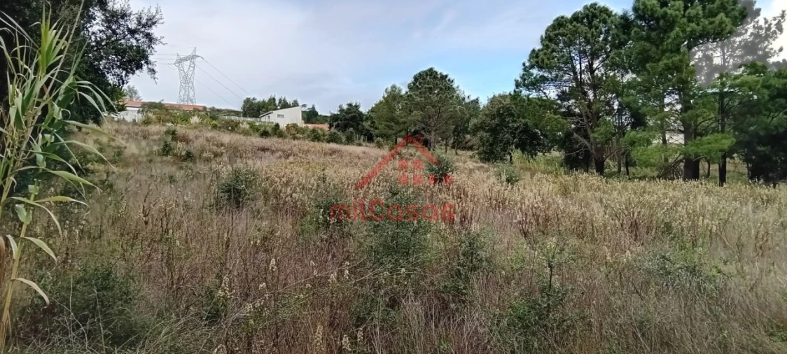 Terreno para Venda em Carvoeira e Carmões Foto 12