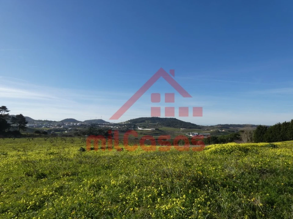 Terreno para Venda em Azueira e Sobral da Abelheira Foto 4