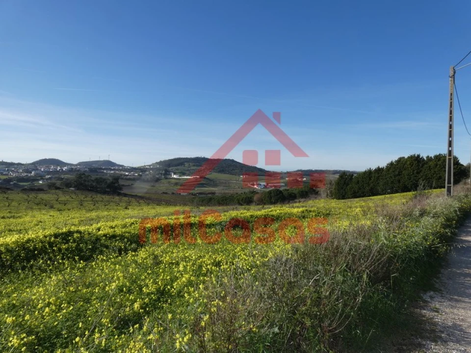 Terreno para Venda em Azueira e Sobral da Abelheira Foto 14