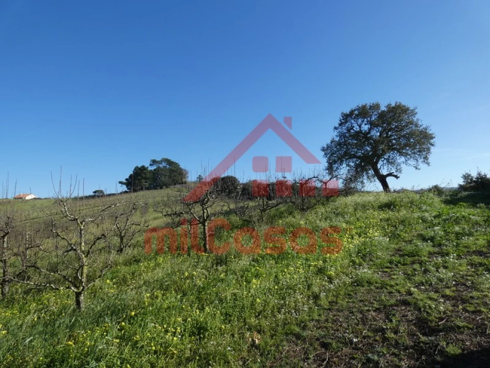 Terreno para Venda em Azueira e Sobral da Abelheira Foto 15