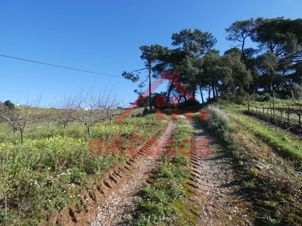 Terreno para Venda em Azueira e Sobral da Abelheira Foto 30