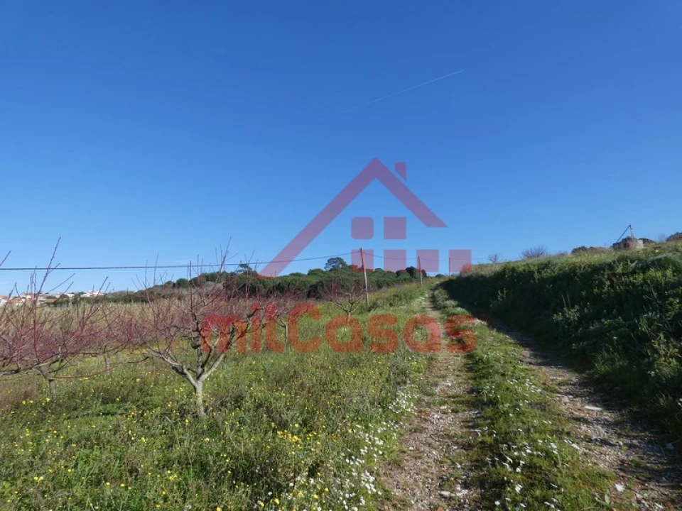 Terreno para Venda em Azueira e Sobral da Abelheira Foto 41