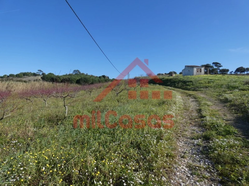 Terreno para Venda em Azueira e Sobral da Abelheira Foto 46