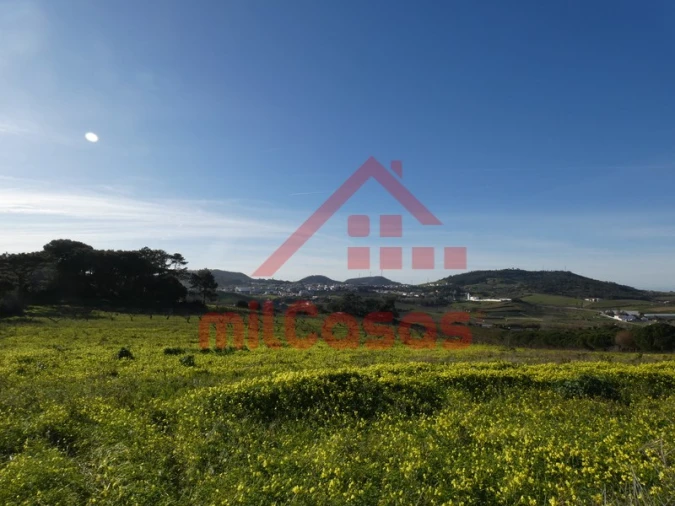 Terreno para Venda em Azueira e Sobral da Abelheira Foto 10