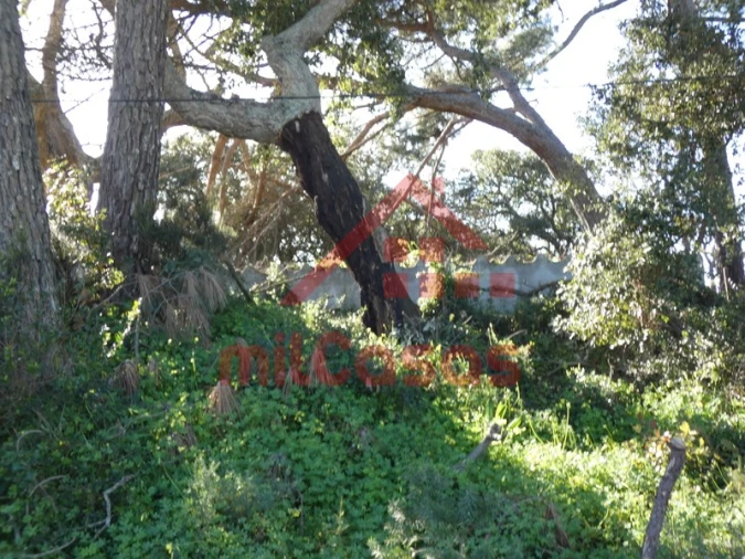 Terreno para Venda em Azueira e Sobral da Abelheira Foto 21