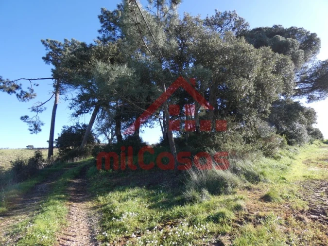Terreno para Venda em Azueira e Sobral da Abelheira Foto 25
