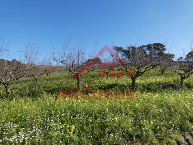 Terreno para Venda em Azueira e Sobral da Abelheira Foto 28