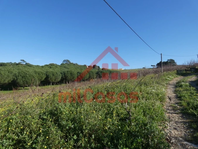 Terreno para Venda em Azueira e Sobral da Abelheira Foto 34