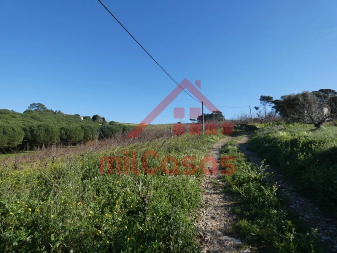 Terreno para Venda em Azueira e Sobral da Abelheira Foto 35