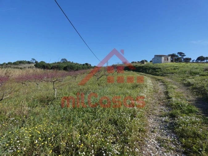 Terreno para Venda em Azueira e Sobral da Abelheira Foto 46
