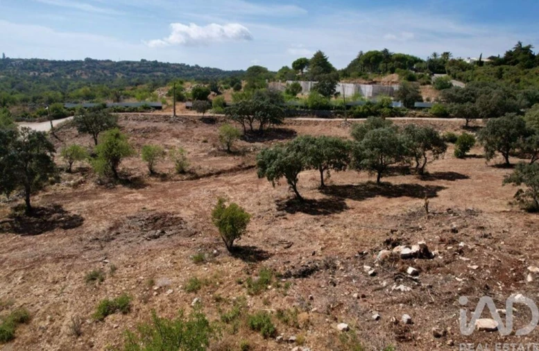 Terreno para Venda em Santa Barbara de Nexe Foto 12