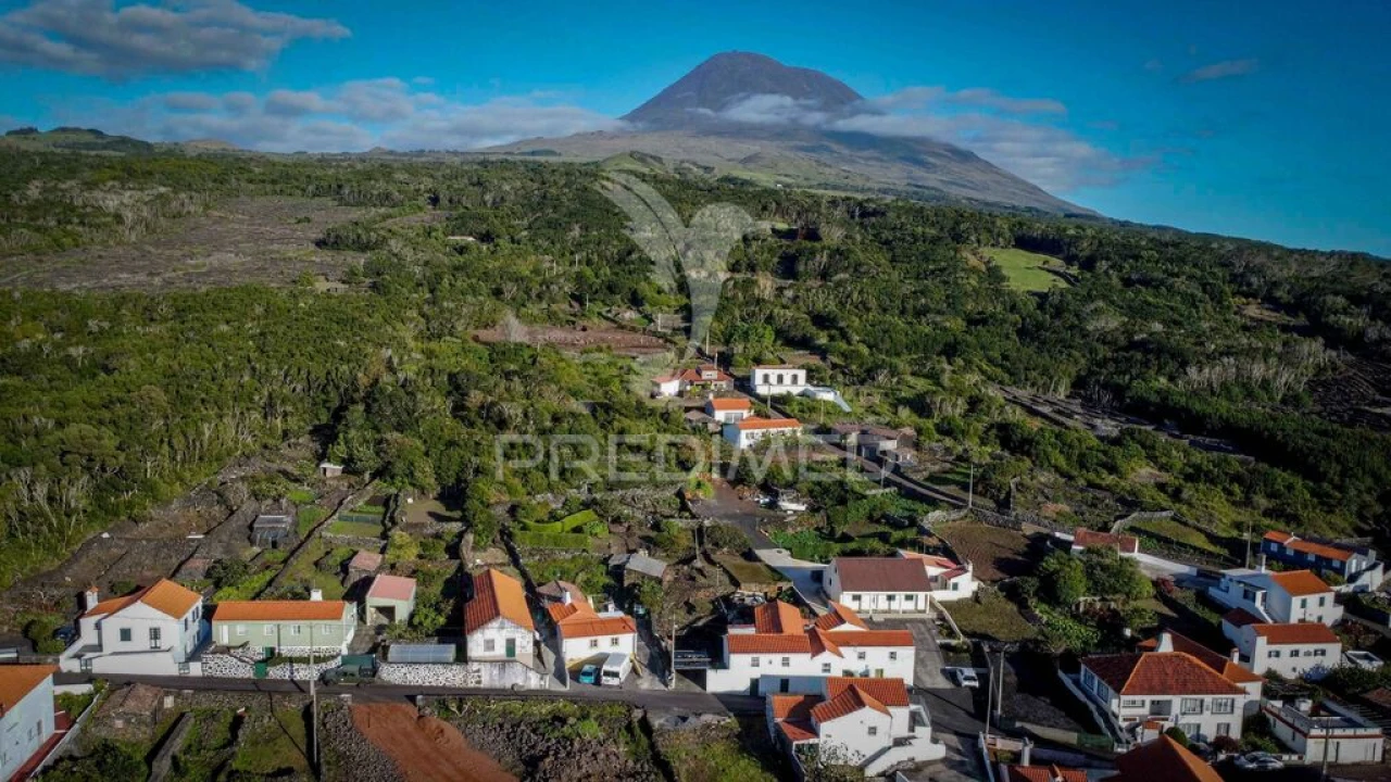 Moradia T1 para Venda em Candelaria Foto 12