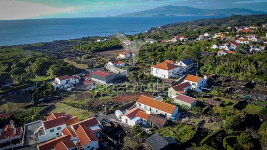 Moradia T1 para Venda em Candelaria Foto 8