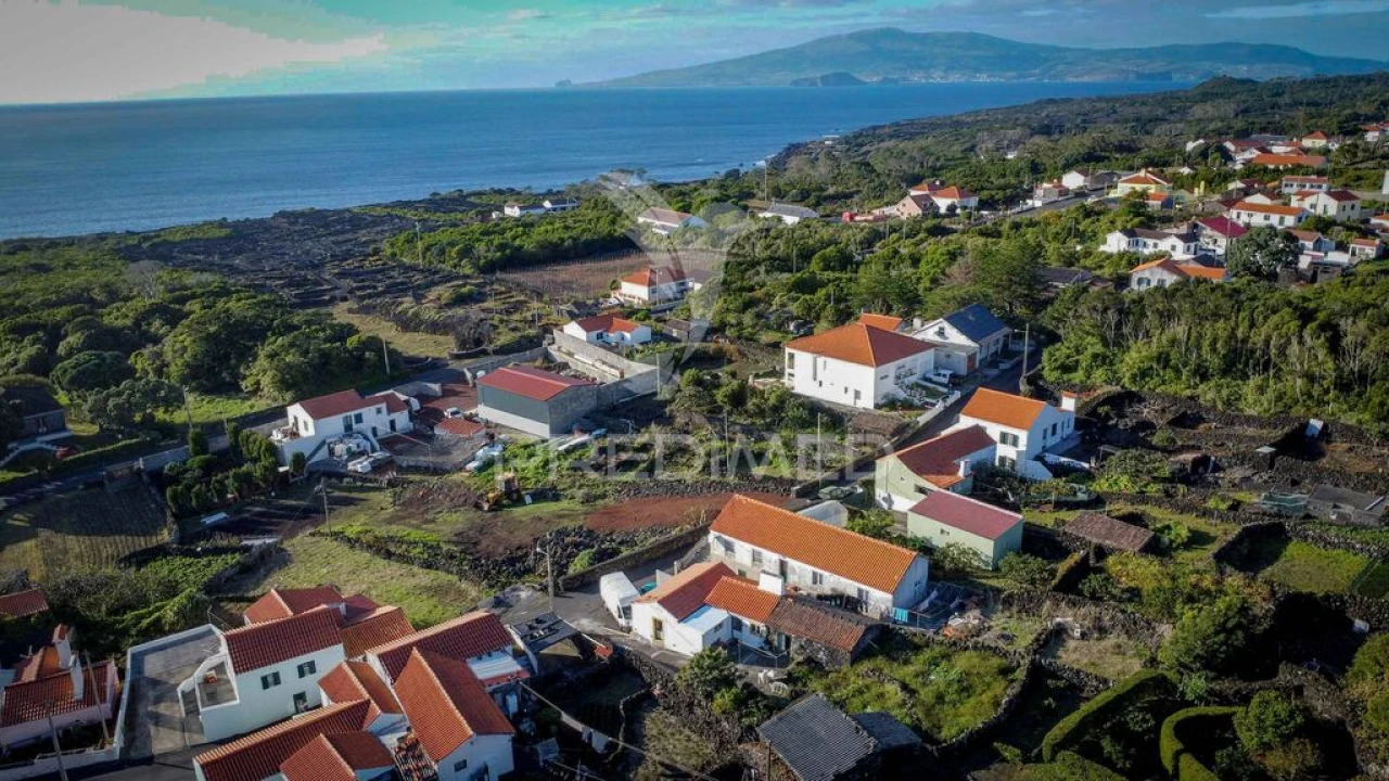 Moradia T1 para Venda em Candelaria Foto 8