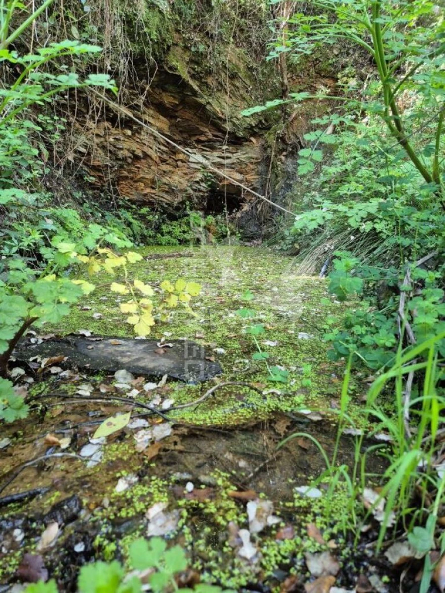 Quinta T2 para Venda em São Salvador e Santa Maria Foto 19