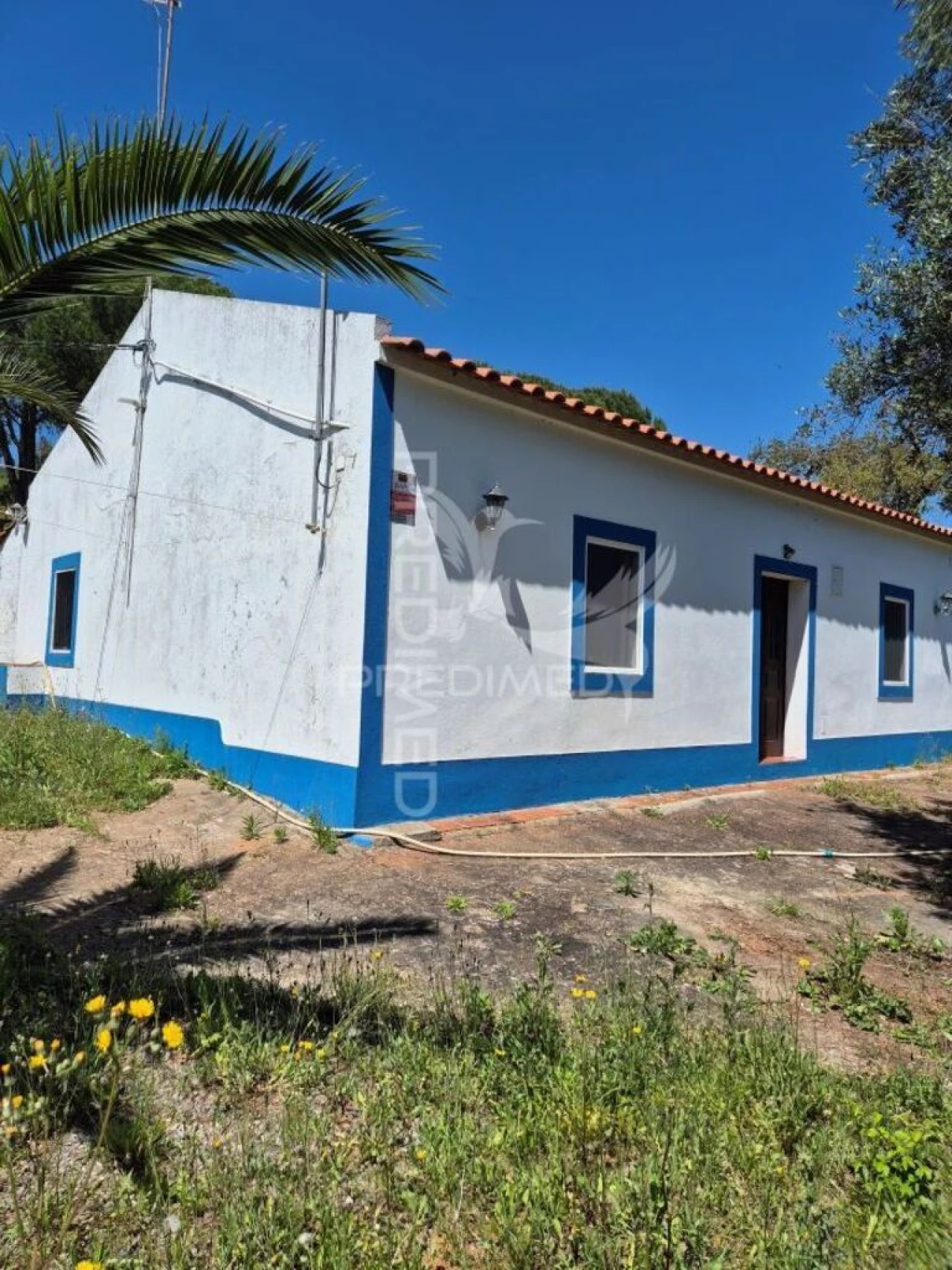 Quinta T2 para Venda em São Salvador e Santa Maria Foto 14