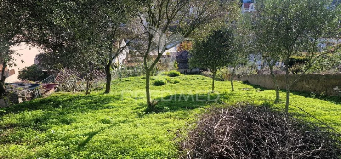 Apartamento T2 para Venda em São Francisco da Serra Foto 8