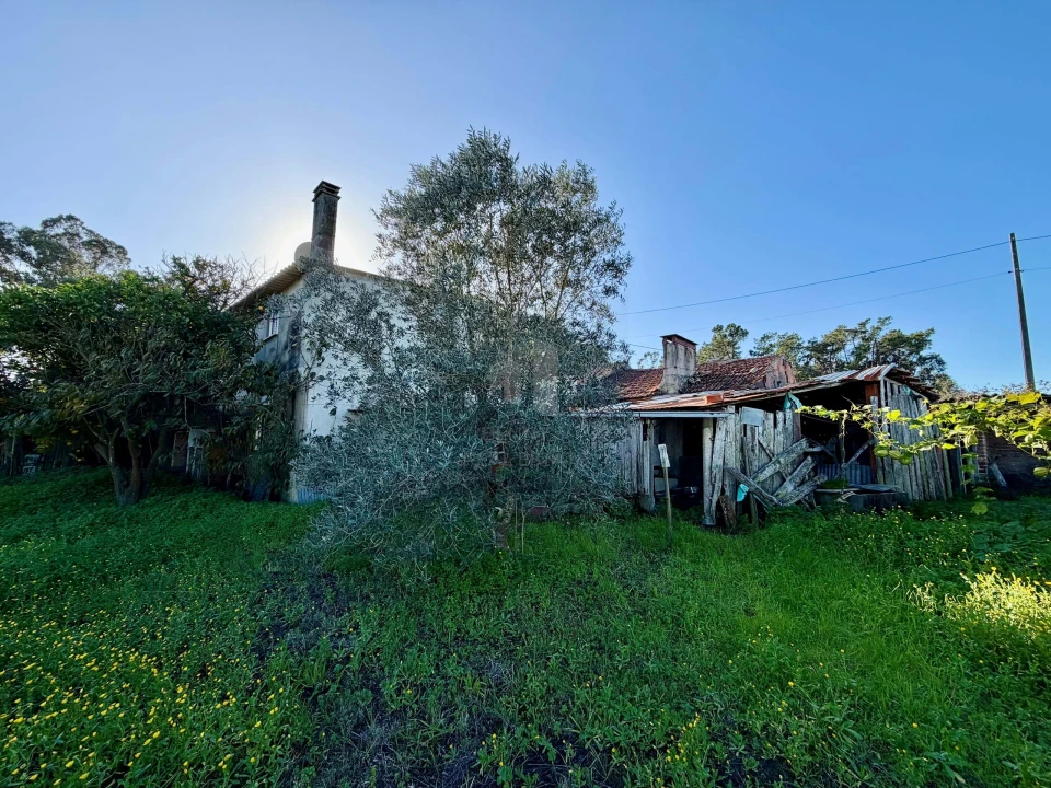 Moradia T3 para Venda em Monte Real e Carvide Foto 32