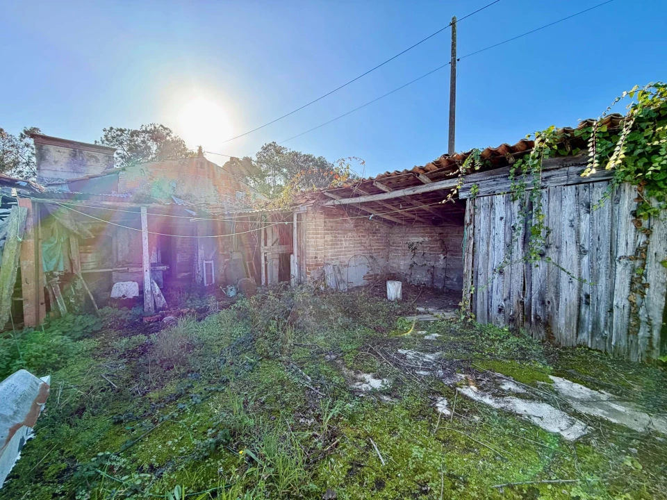 Moradia T3 para Venda em Monte Real e Carvide Foto 29