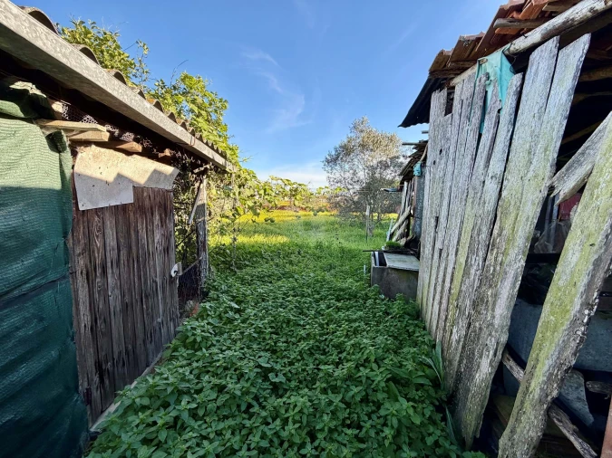 Moradia T3 para Venda em Monte Real e Carvide Foto 28