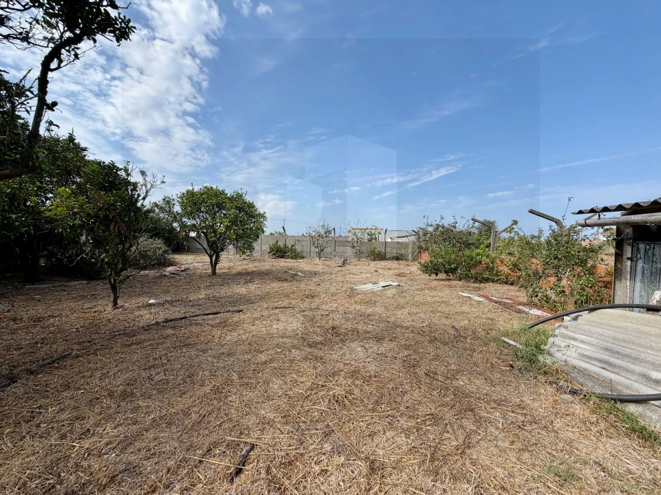 Moradia T3 para Venda em Monte Real e Carvide Foto 15