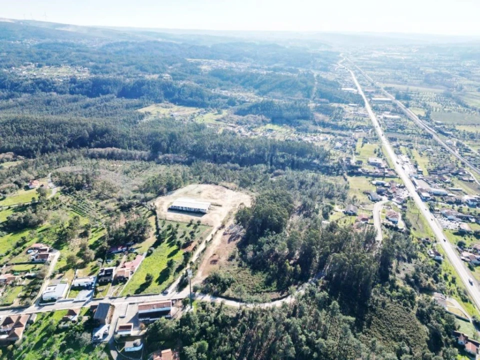 Terreno para Venda em Pelariga Foto 6