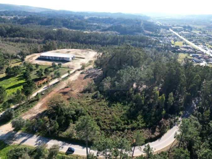 Terreno para Venda em Pelariga Foto 11