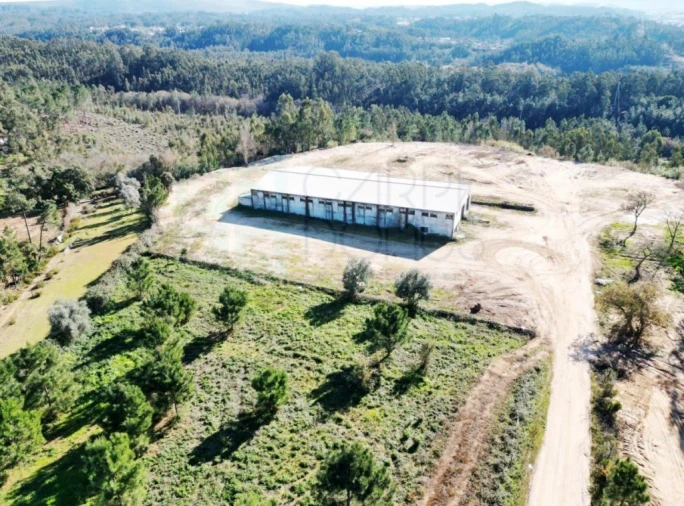 Terreno para Venda em Pelariga Foto 15