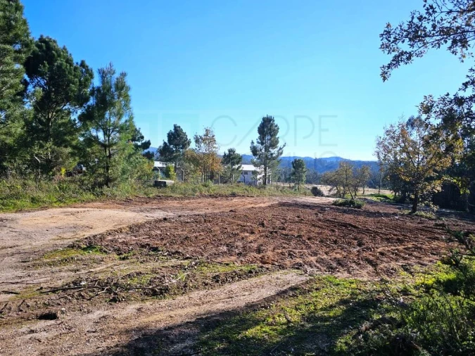 Terreno para Venda em Pelariga Foto 56