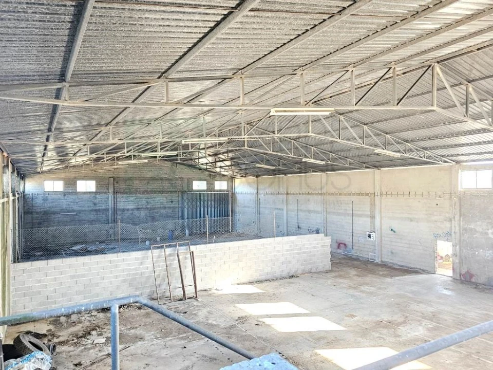 Armazém para Venda em Pelariga Foto 32