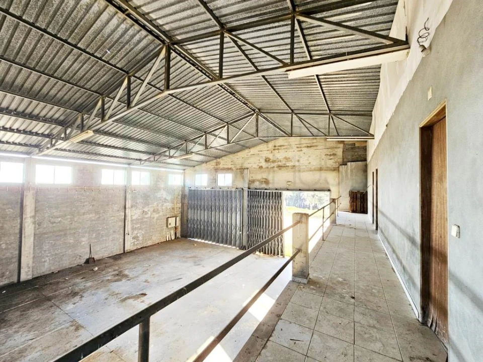 Armazém para Venda em Pelariga Foto 33