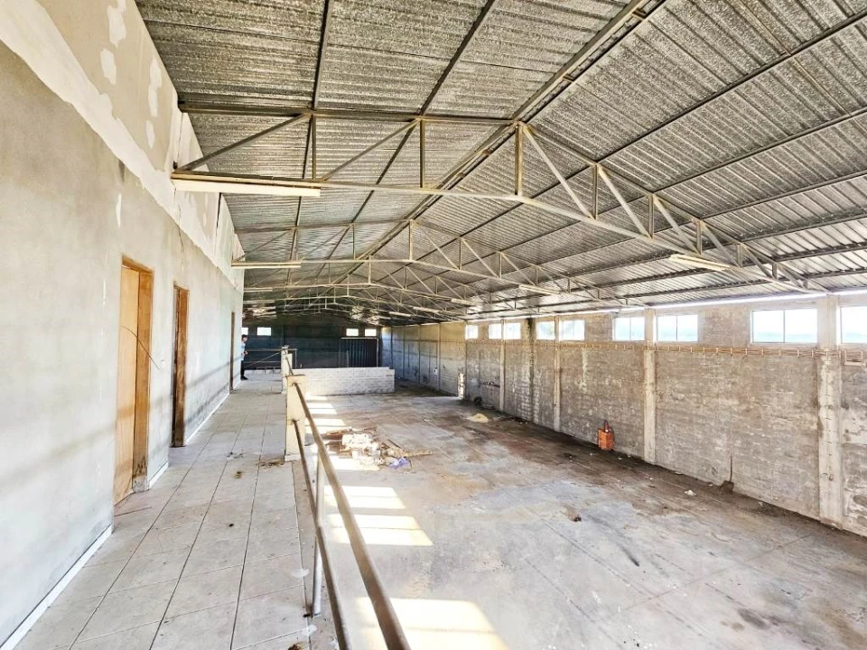 Armazém para Venda em Pelariga Foto 37