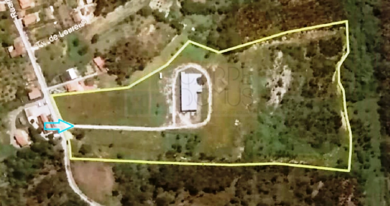 Armazém para Venda em Pelariga Foto 45