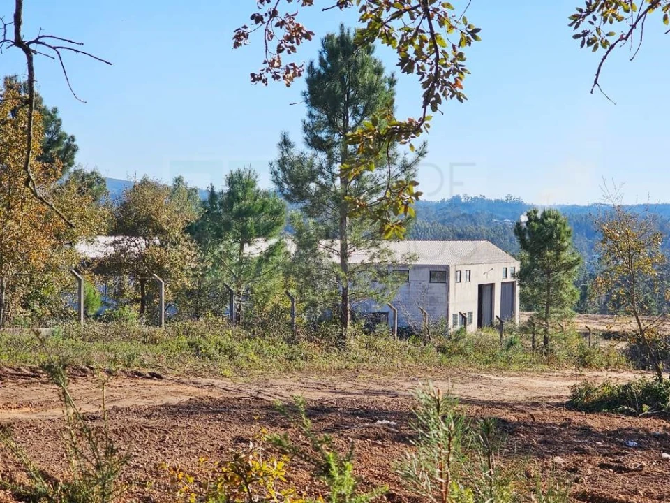 Armazém para Venda em Pelariga Foto 57