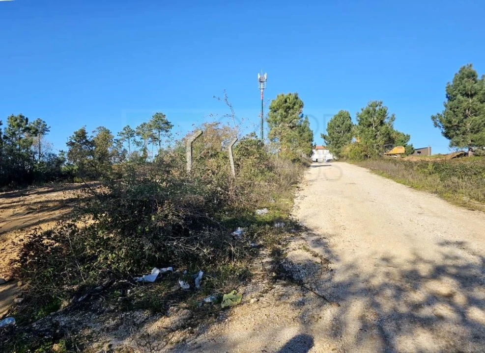Armazém para Venda em Pelariga Foto 58