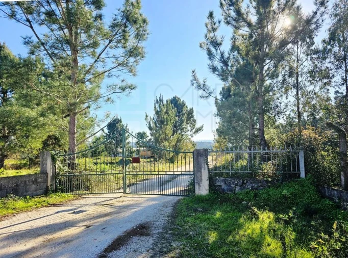 Armazém para Venda em Pelariga Foto 14