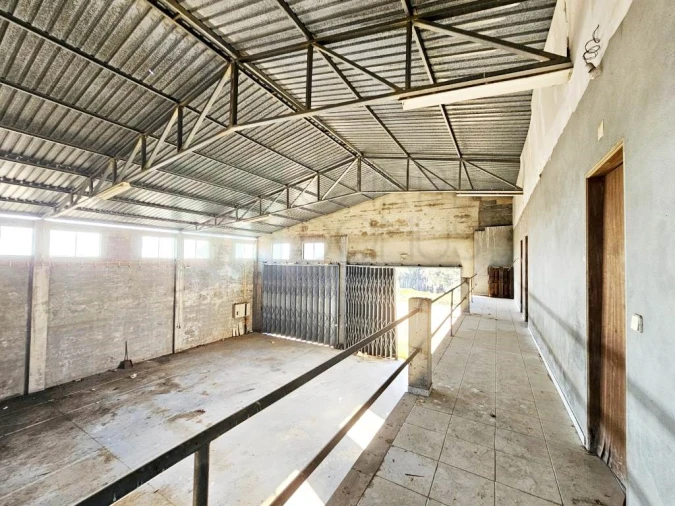 Armazém para Venda em Pelariga Foto 33