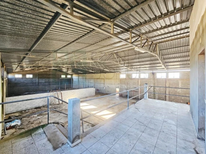 Armazém para Venda em Pelariga Foto 36