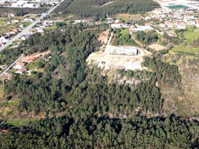 Armazém para Venda em Pelariga Foto 48