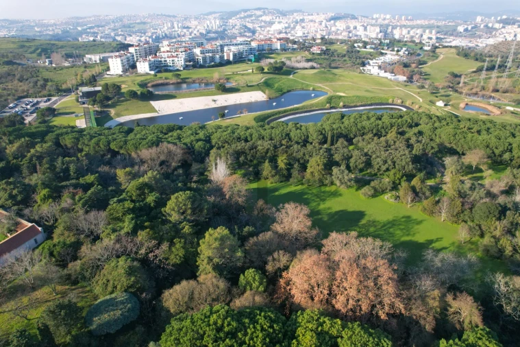 Moradia T6 para Venda em Lumiar Foto 6