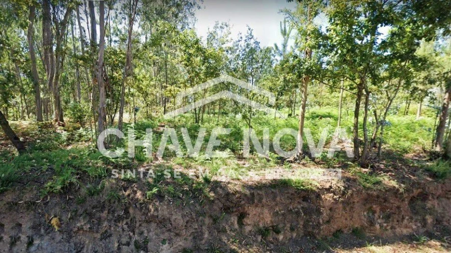 Terreno Comércio / Armazém para Venda em Vila de Cucujães Foto 1