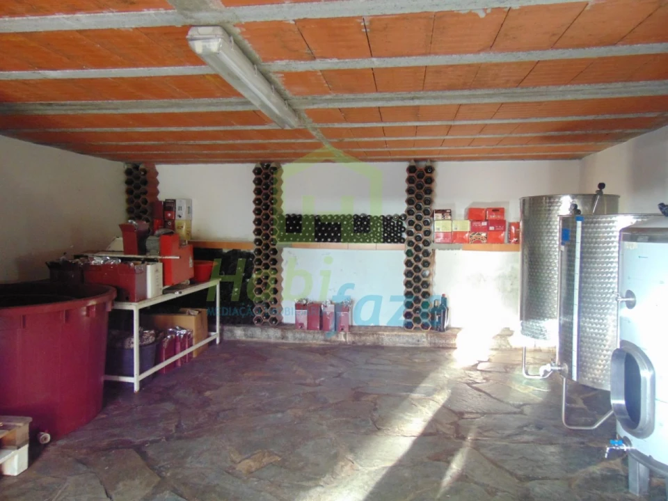 Quinta T3 para Venda em Nossa Senhora de Machede Foto 8