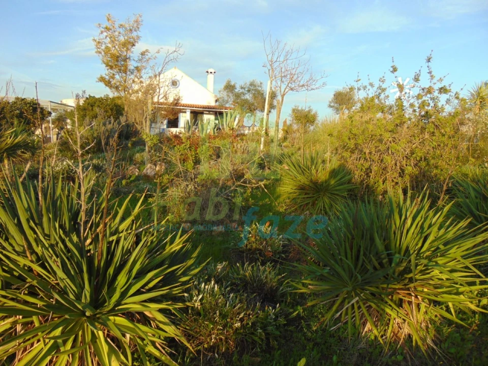 Quinta T3 para Venda em Nossa Senhora de Machede Foto 27